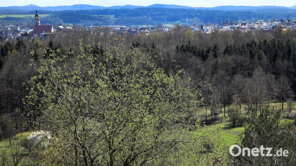 Vom höchsten Punkt des Wanderwegs aus beitet sich ein schöner Rundumblick. Bild: Wolfgang Steinbacher