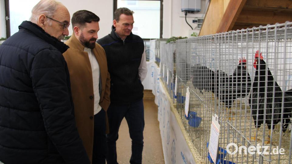 Josef Striegl führt die beiden Bürgermeister Sebastian Giering und Ernst Schicketanz (von links) durch die Gemeinschaftsschau der Kleintierzuchtvereine Neustadt, Floß und Vohenstrauß. Bild: prh