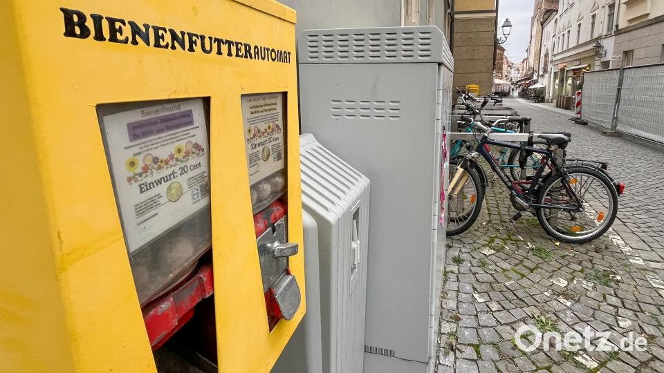 Der Bienenfutterautomat am Rathaus in Amberg wurde in der Nacht von Samstag auf Sonntag vermutlich mit einem Böller gesprengt. Bild: Petra Hartl
