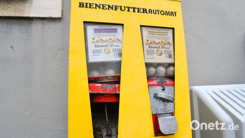 Der gesprengte Bienenfutterautomat am Rathaus in Amberg. Bild: Petra Hartl