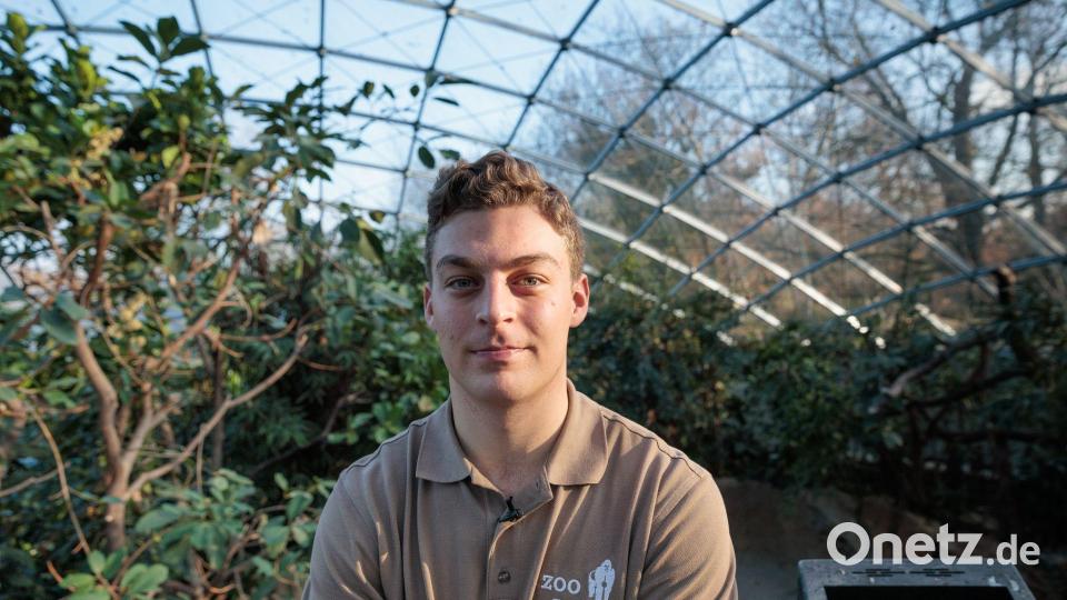 Nikolas Algenstaedt ist für seinen neuen Job extra von Hamburg nach Berlin gezogen. Bild: Carsten Koall/dpa