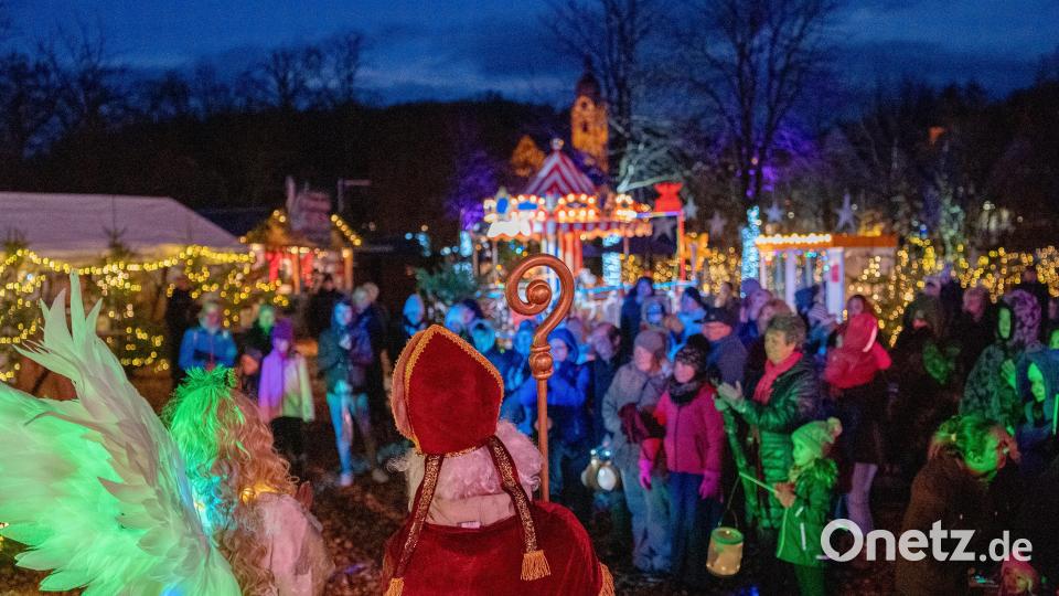 Winterzauber Schwandorfer Stadtpark. Bild: Simon Buchner