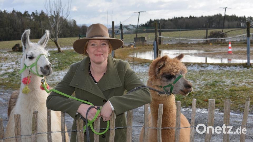 Stefanie, Alpaka-Besitzerin:„Beim Spazierengehen ist es wichtig, die Tiere nicht unten am Bauch oder am Schwänzchen anzufassen, da erschrecken sie leicht. Am liebsten mag das Alpaka neben dir oder direkt hinter dir laufen. Es hat auch Spaß bei der Wanderung, denn es darf ja in der Pause ein bisschen Gras naschen.“ () Bild: Thumbachquelle
