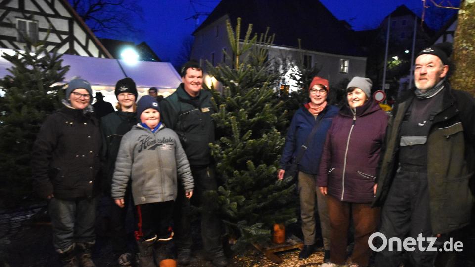 Gemeinderätin Elke Pirner (rechts neben dem Christbaum) ließ sich vom Team der Familie Knarr aus Einsricht bei der Auswahl eines passenden Christbaums beraten. Bild: no