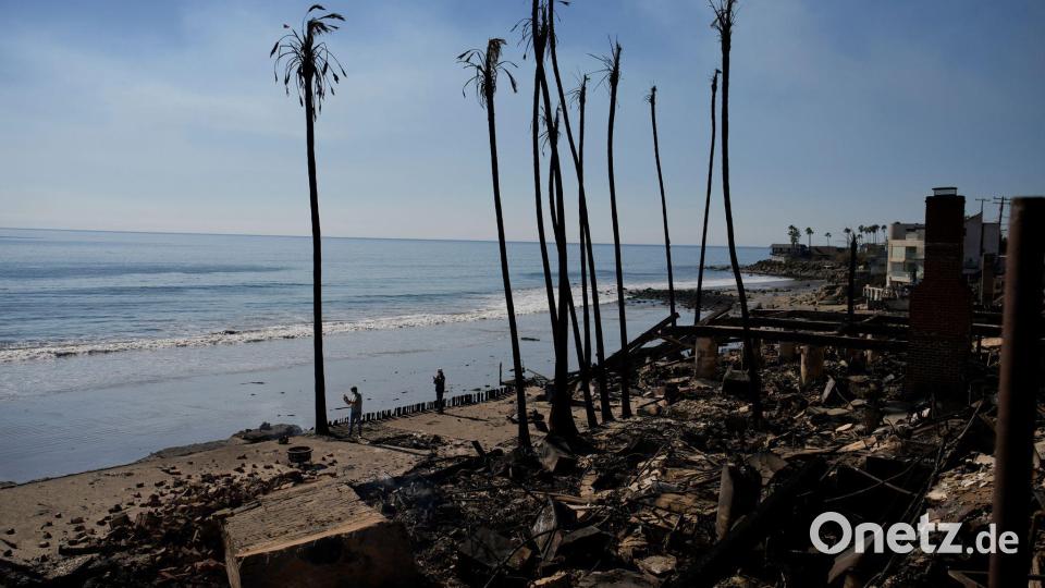 Die Flammen zerstörten alles in ihrem Weg - bis an die Strände. Bild: John Locher/AP/dpa