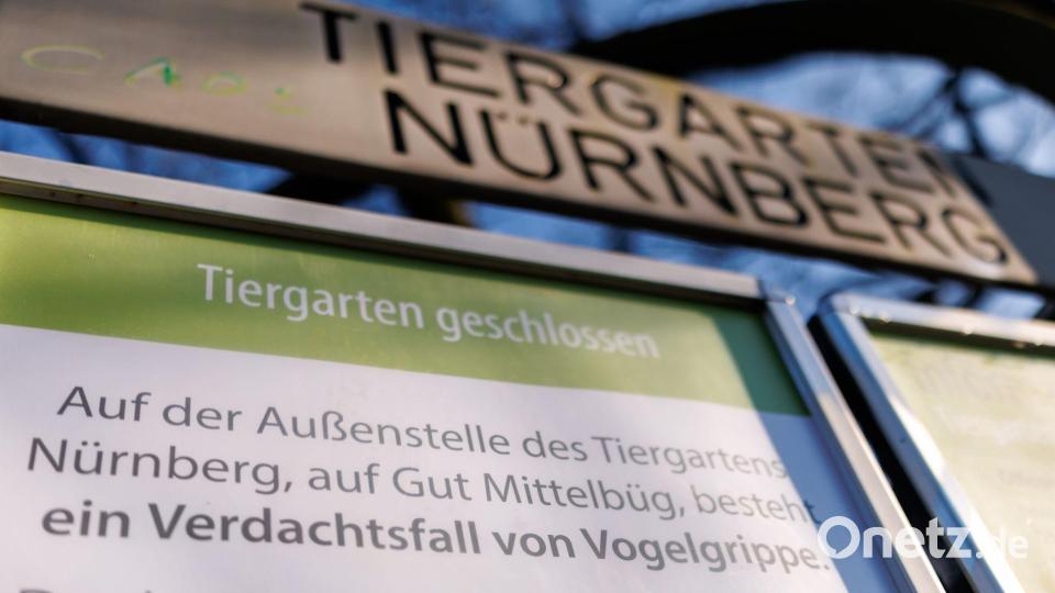 Wegen Vogelgrippe-Fällen bei Weißstörchen ist der Tiergarten Nürnberg aktuell geschlossen. Bild: Daniel Karmann/dpa