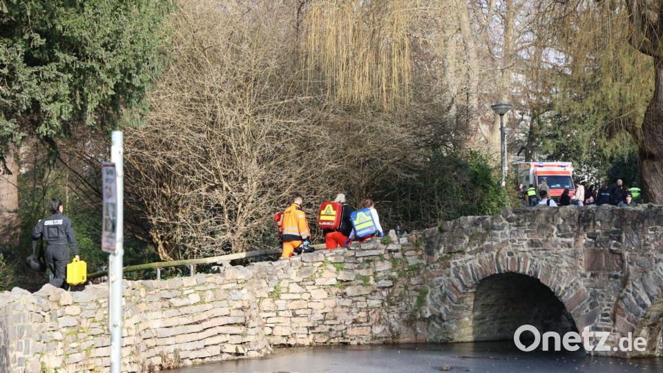Im Park kam es zur Gewalttat. Bild: Ralf Hettler/dpa