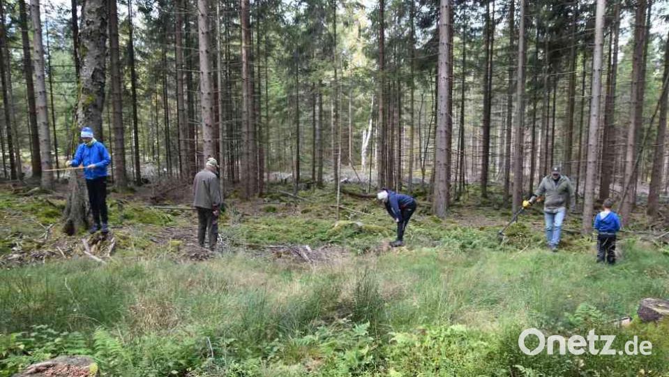 Mit vielen hat Harald Primitz in einer Schneise nach Beweisen für den Absturz gesucht. Bild: Ann-Kathrin Primitz