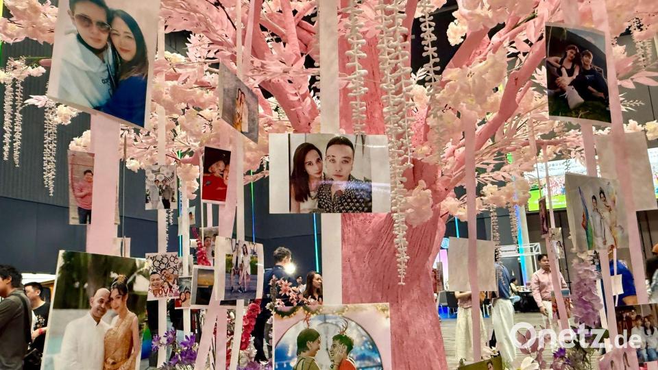 Romantische Deko: An einem rosa Liebesbaum waren Fotos queerer Paare zu sehen. Bild: Carola Frentzen/dpa