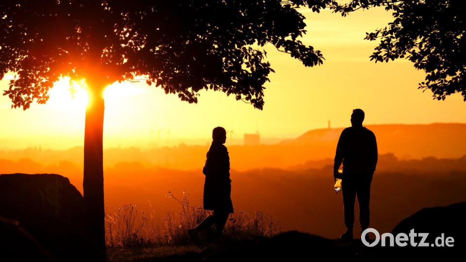 Wer passt zu mir? (Illustration) Bild: Julian Stratenschulte/dpa