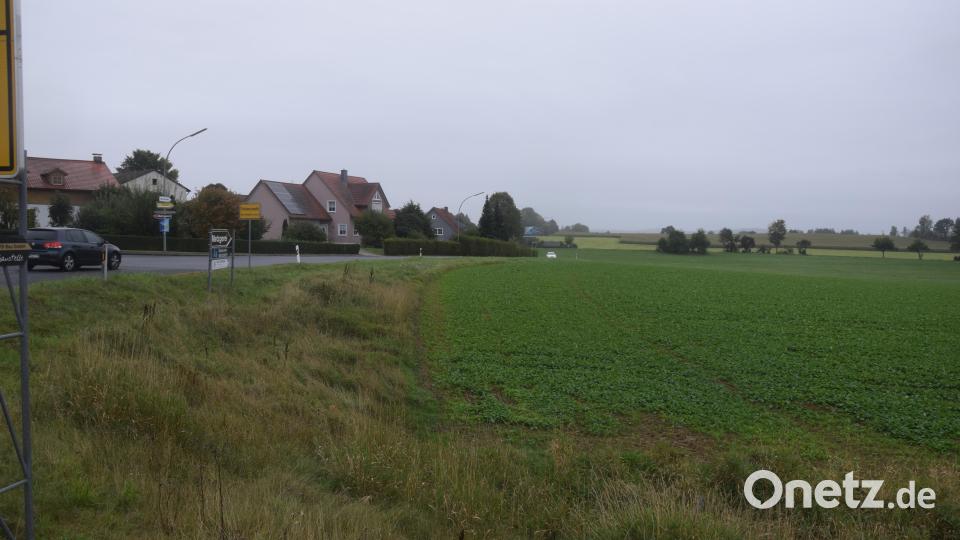 Westlich der Ilsenbacher Straße in Püchersreuth soll ebenfalls ein großes Baugebiet entstehen. Archivbild: fz