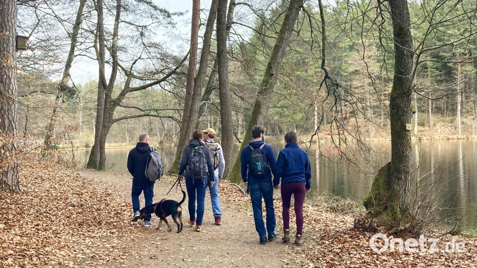 Bei einer Runde um den See gibt es viel zu entdecken. Bild: Evi Wagner