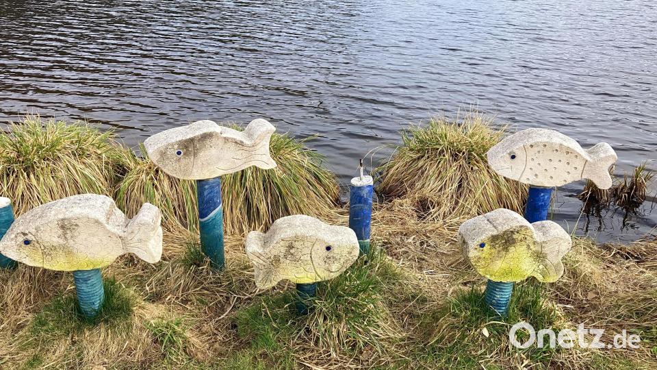 Und auch bunte Fische tummeln sich hier. Bild: Evi Wagner