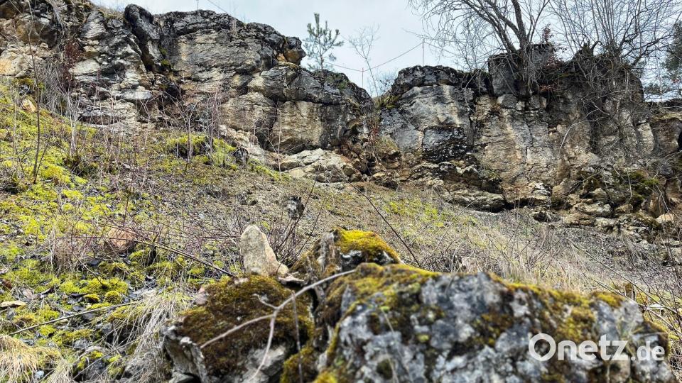 Ein Rückzugsgebiet für viele vom Aussterben bedrohte Tier- und Pflanzenarten: Der Steinbruch Kerschgraben. Bild: Gabi Schönberger