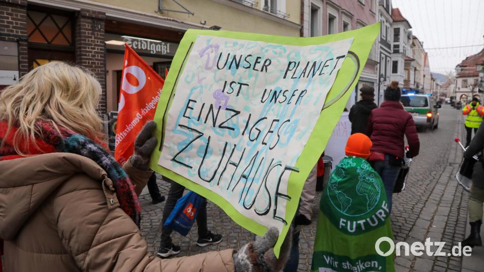 Der Klimastreik von Fridays for Future in Amberg. Bild: Wolfgang Steinbacher