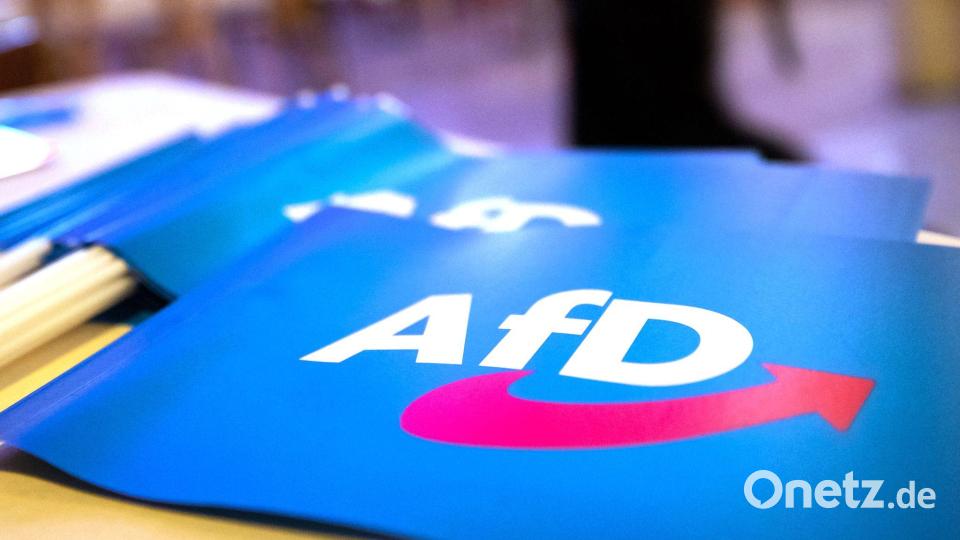 Wirbel um AfD-Großspende. (Symbolbild) Bild: Daniel Karmann/dpa