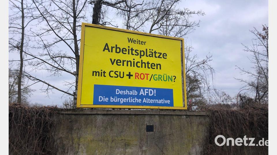 Auffällige AfD-Wahlwerbung wie hier in Bamberg ist auch in anderen Städten in Deutschland zu sehen. Es handelt sich nicht um offizielle AfD-Wahlplakate, sondern um eine Aktion des Spenders Gerd Dingler aus Österreich. (Archivbild) Bild: David Hutzler/dpa