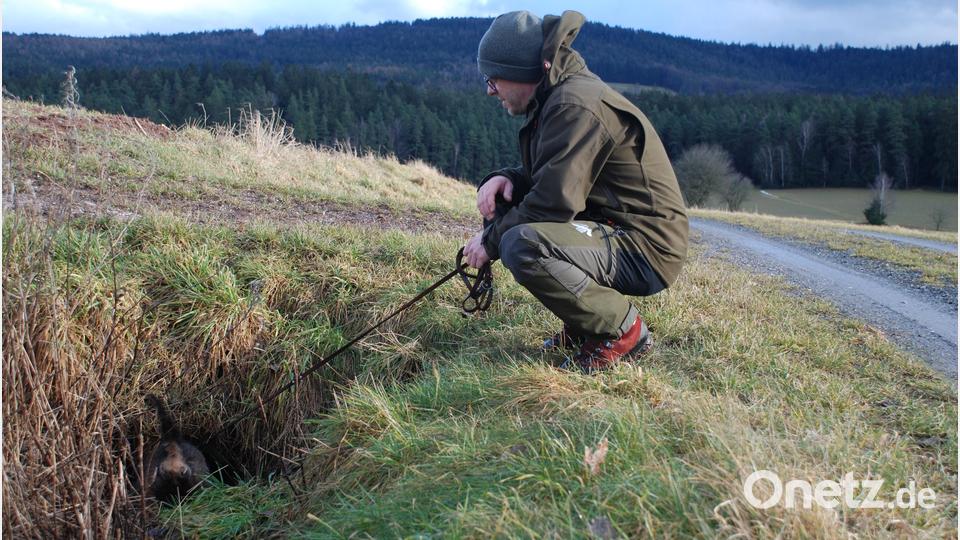Auch Wasserdurchlässe sind ein beliebtes Versteck für Füchse. Bild: cvl