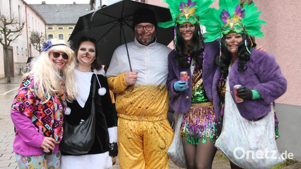 Der &quot;Hahn im Korb&quot;. Bild: pi