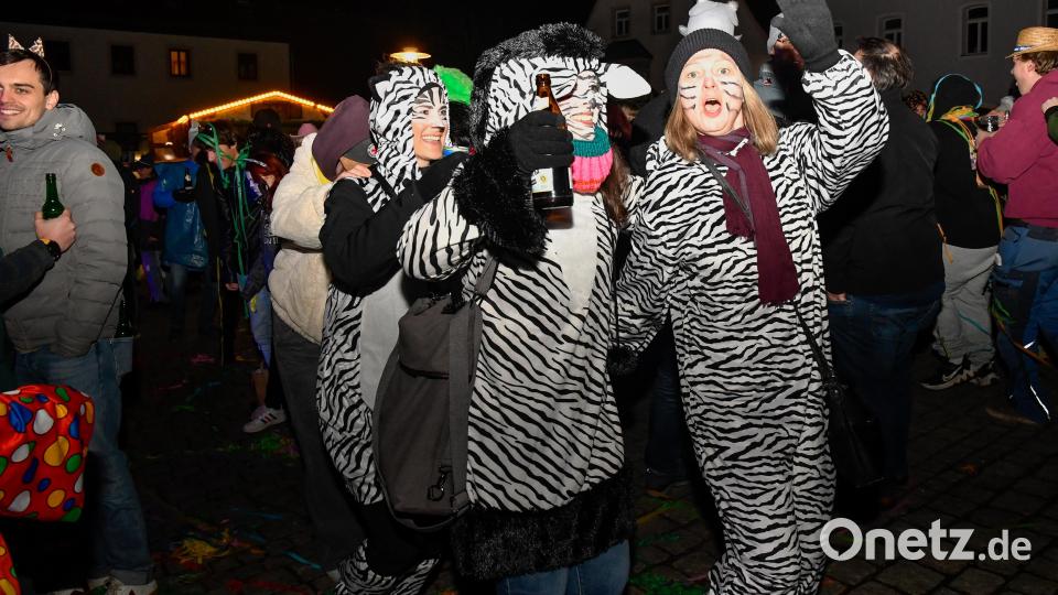 Eine Zebra-Herde auf dem Weg zur Tränke. Bild: Petra Hartl