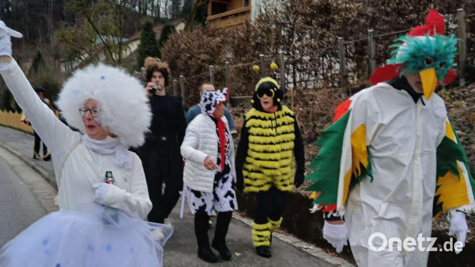 Der Gaudiwurm in Hirschbach unterwegs. Bild: Ursula Odörfer