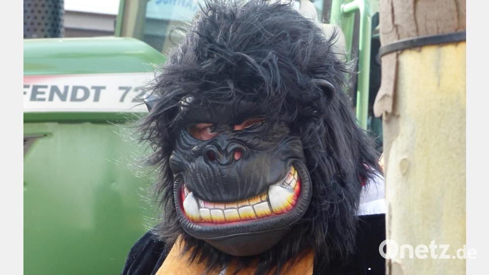 Warum nicht? Ein Zoo in Auerbach würde sowohl Befürworter als auch Gegner finden. Bild: mfh