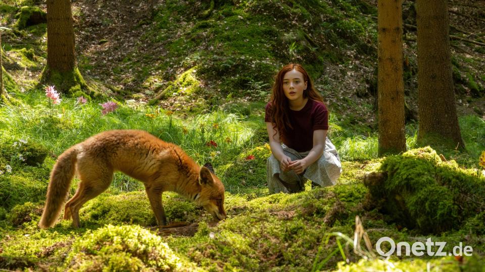 Willow hat einen ganz besonderen Freund: Rufus, den Fuchs. Bild: Constantin Film Verleih GmbH