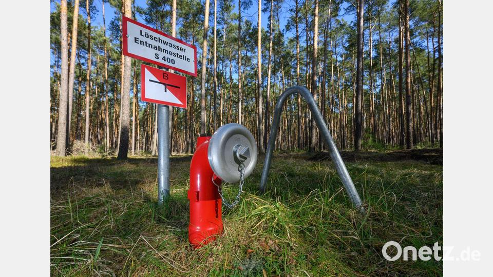 In manchen Wäldern gibt es direkt vor Ort Löschwasser-Entnahmestellen. Bild: Patrick Pleul/dpa