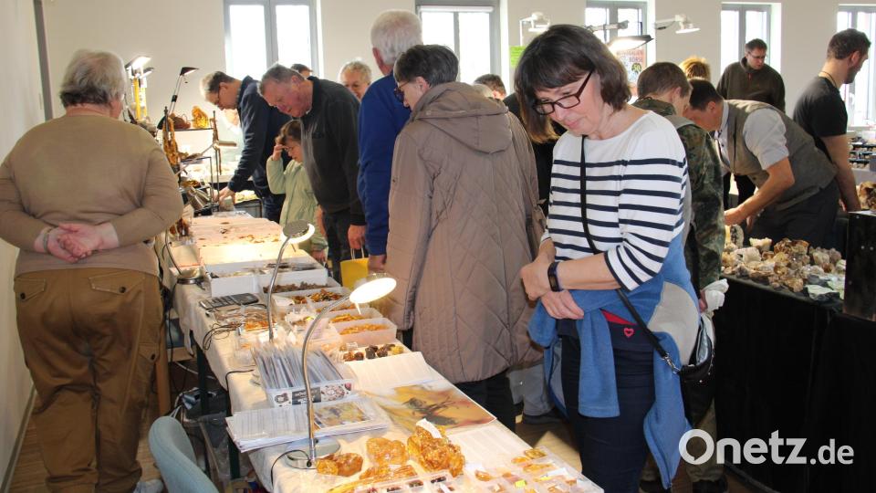 530 Besucher sammelten und informierten sich bei der 26. Mineralien- und Fossilienbörse am Sonntag im GEO-Zentrum. Organisatoren, Aussteller und Besucher freuten sich über ein breites Angebot, das von Mineralien aus der Oberpfalz bis Madagaskar reichte. Bild: prh
