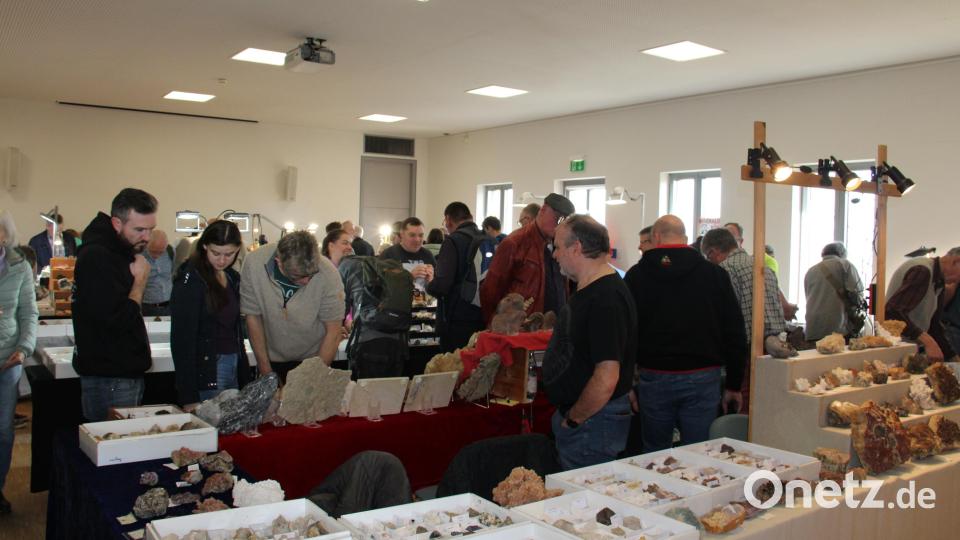 530 Besucher sammelten und informierten sich bei der 26. Mineralien- und Fossilienbörse am Sonntag im GEO-Zentrum. Organisatoren, Aussteller und Besucher freuten sich über ein breites Angebot, das von Mineralien aus der Oberpfalz bis Madagaskar reichte. Bild: prh