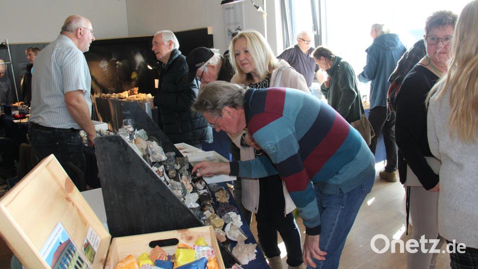 530 Besucher sammelten und informierten sich bei der 26. Mineralien- und Fossilienbörse am Sonntag im GEO-Zentrum. Organisatoren, Aussteller und Besucher freuten sich über ein breites Angebot, das von Mineralien aus der Oberpfalz bis Madagaskar reichte. Bild: prh