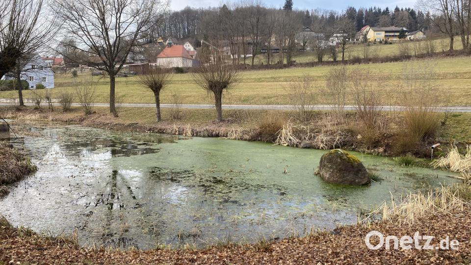 Das &quot;Biotop Brauweiher&quot; mit dem darüberliegenden geplanten Baugebiet &quot;Am Kohlbuch II&quot; soll nach Möglichkeit erhalten bleiben. Bild: Josef Glas