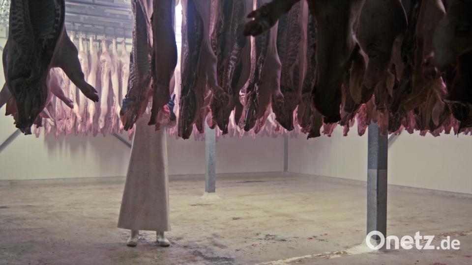 Eine Szene aus dem Film &quot;Bauer unser&quot;, der einen kritischen Blick auf die industrielle Landwirtschaft wirft. Bild: Allegro Film 2016/exb