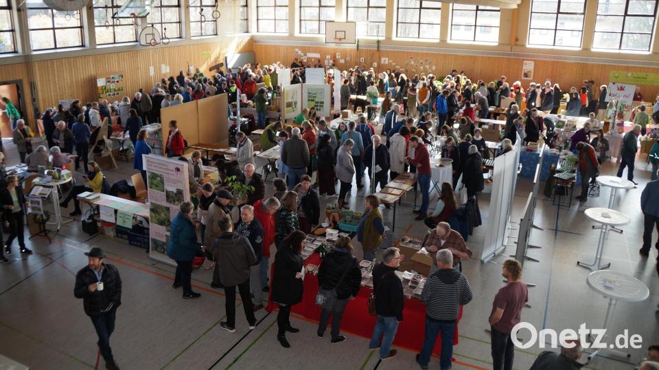 Bereits eine Stunde nach Öffnung zählt das Oberviechtacher Saatgutfestival bereits 600 Besucher. Bild: wel