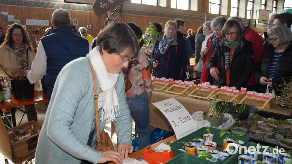 Alle Pflanzen für einen Euro am Stand von Edeltraud Völkl. Günstiger geht`s kaum Bild: wel