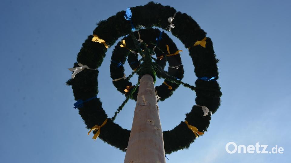 Ein Waldsassener Maibaum aus den vergangenen Jahren von unten gesehen. Archivbild: jr