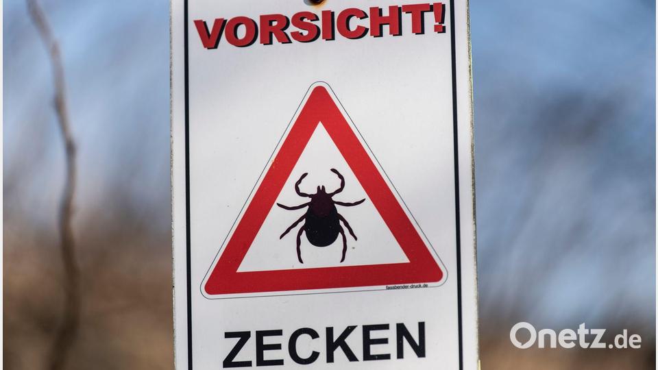Diese Warnung vor Zecken sollte man ernst nehmen, sagt ein Mann aus dem Landkreis Amberg-Sulzbach, der nach einem Zeckenbiss schwer an FSME erkrankte. Symbolbild: Patrick Seeger/dpa