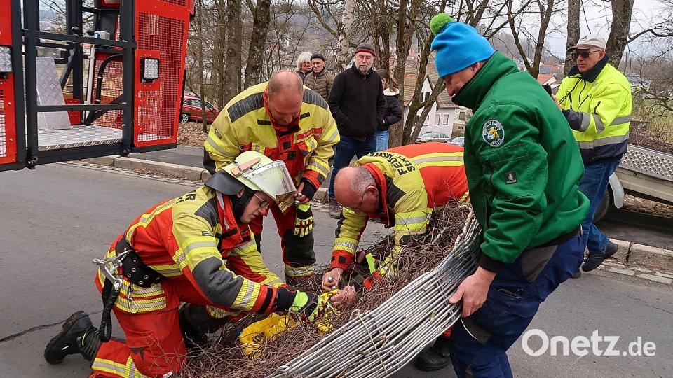 Mitglieder der Feuerwehr Erbendorf befestigten Gurte am Storchnest für den Transport auf das Dach. Bild: bsc