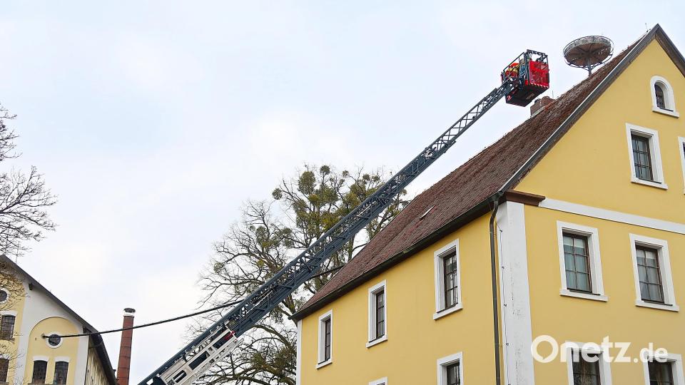 Mit Unterstützung einer Drehleiter ist ein komfortabler neuer Storchenhorst auf dem Dach des Verwaltungsgebäudes der Friedenfelser Betriebe installiert worden. Bild: bsc