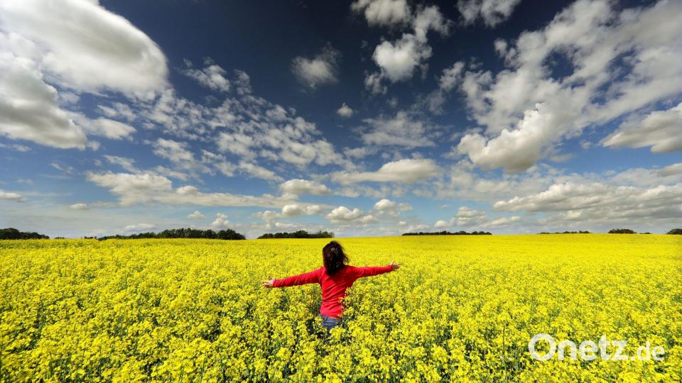 Deutschland klettert im Glücks-Ranking auf Platz 22. (Symbolbild) Bild: Wolfgang Kumm/dpa