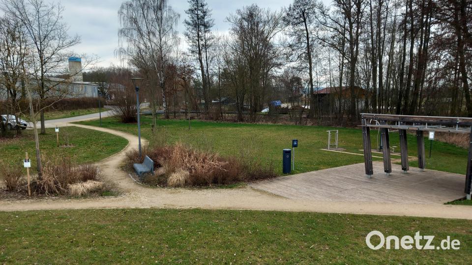Auf der Gockelwiese findet am Freitag, 18. Juli, das Festival &quot;Hahnbach Summer&quot; statt. Bild: mma