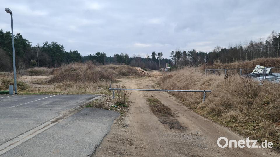 Die Straße in der Nähe des Gründerzentrums könnte einmal erweitert werden. Dies steht aber im Konflikt mit dem Hochwasserschutz. Bild: sne