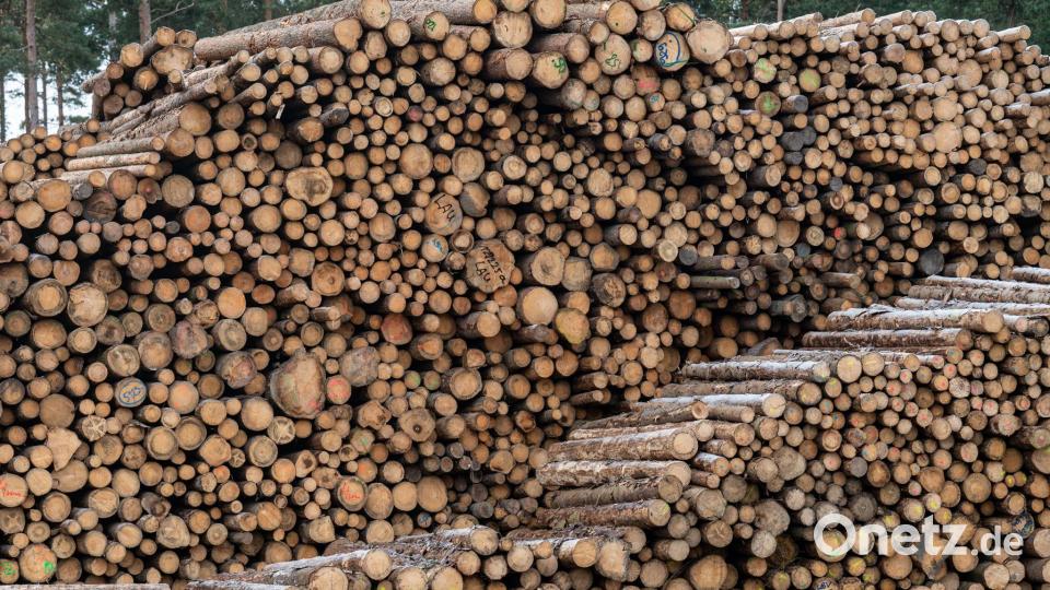 Die Insolvenz der Ziegler-Group, die vor allem von der Holzverarbeitung gelebt hat, schlägt sich in den Arbeitslosenzahlen weiter nieder. Symbolbild: Armin Weigel/dpa