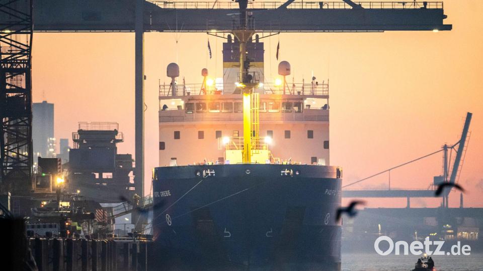 Das Spezialschiff „Pacific Grebe“ mit sieben Castor-Behältern an Bord legt im Hafen an. Bild: Sina Schuldt/dpa