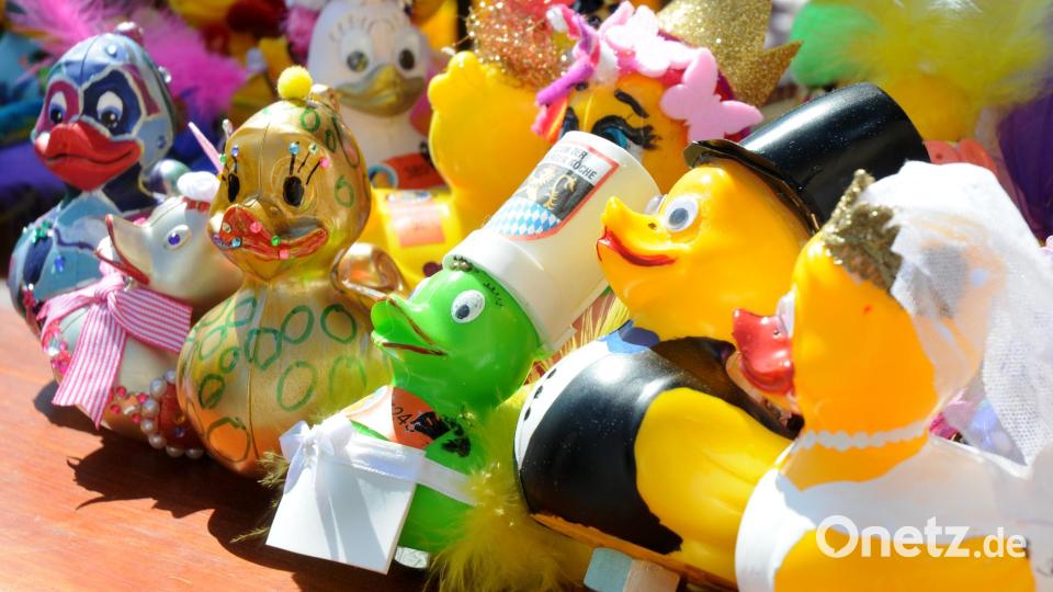 Gut zu wissen: Preise gibt es nicht nur für die schnellsten, sondern auch für die schönsten Enten. Bild: Stephan Huber