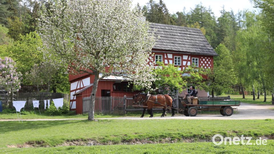 Jetzt im Frühling, wenn alles blüht, ist es im Freilandmuseum Oberpfalz besonders schön. Bild: Eva Gröninger