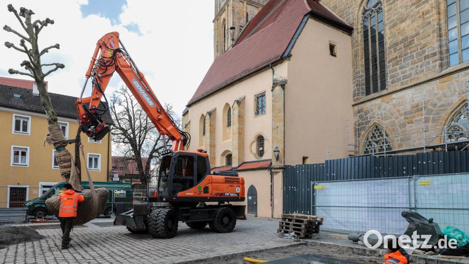 Auf dem Salzstadlplatz werden die neuen Bäume eingesetzt. Bild: Wolfgang Steinbacher