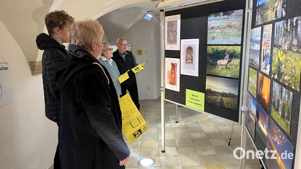 „Kennen Sie ihre Heimat“ wurde beim Suchbildrätsel gefragt, Bilder aus dem Truppenübungsplatz wurden in der Multivisionsschau und auf den Ausstellungstafeln präsentiert. Bild: mor