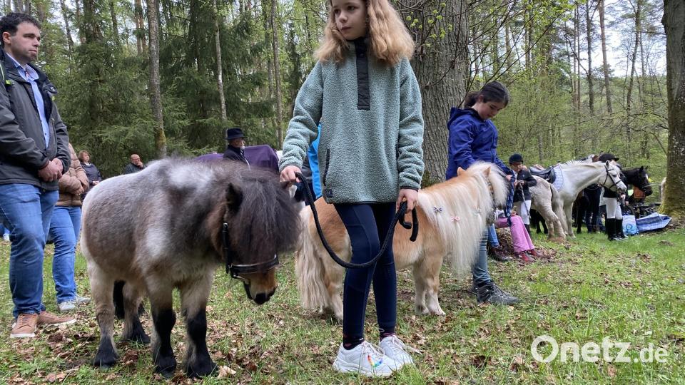 Auch Ponys sind mit dabei. Bild: aub