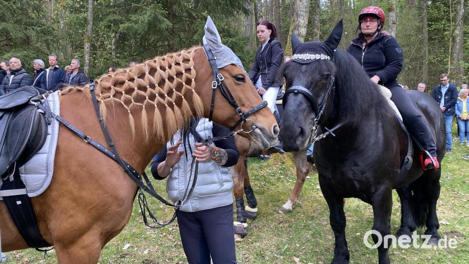 Einige haben sich viel Mühe beim Herausputzen ihrer Lieblinge gemacht. Bild: aub